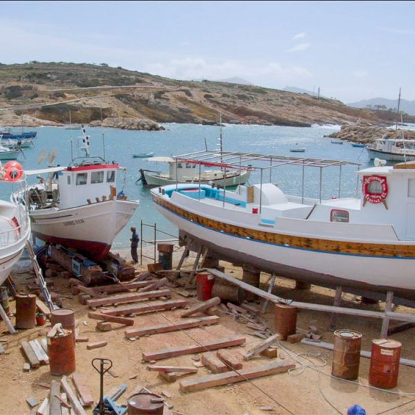 Αρχείο Μιχάλη Πράσινου διαμέσου του Δικτύου Αρχιπέλαγος