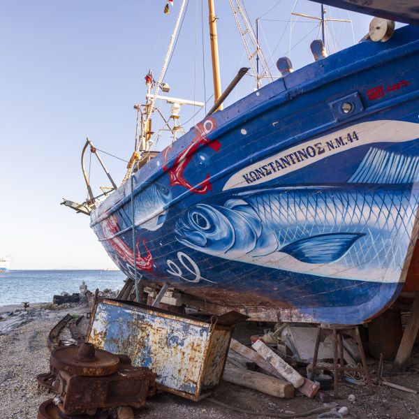 1cc3ce1b-53ad-4780-ad2c-aff8b9f41a18