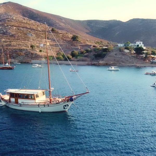 3d8e2ed2-451e-40e5-a2d4-e9051c964838