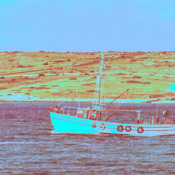 58297a55-73ce-4f5b-84cf-217c10da72d7