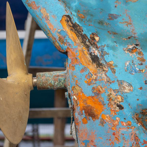 8e8514ba-50f1-4567-9f96-fd541ba71f3c