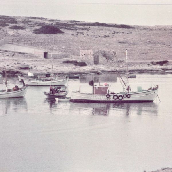 Αρχείο Μιχάλη Πράσινου διαμέσου του Δικτύου Αρχιπέλαγος