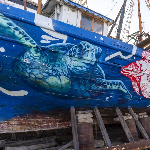 c3689911-2d5c-4cff-9bb9-feb71e98bf45